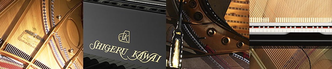 Kawai ES520W